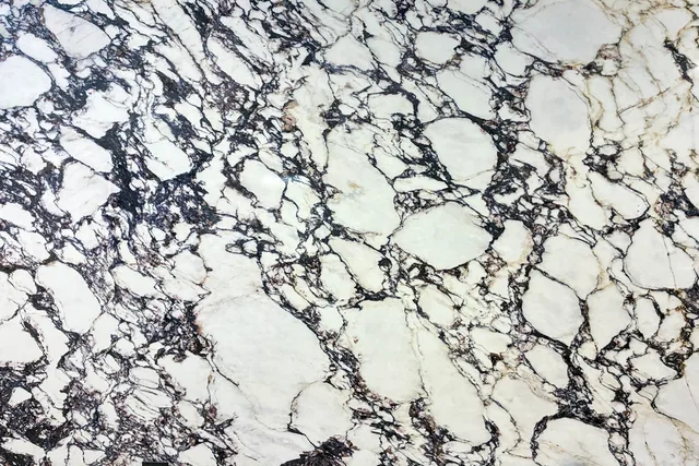 Calacatta Viola quartz slab